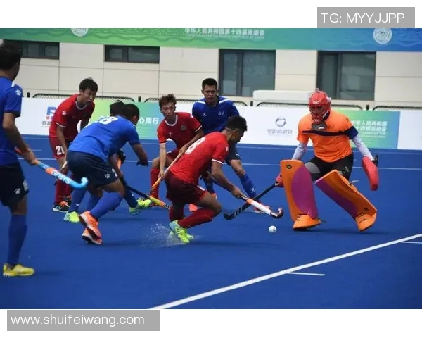 西安网球队战术深度解析与对比分析全面解读