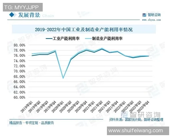 杭州羽毛球队的节奏探讨与发展趋势分析